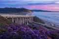 Del Mar Majesty